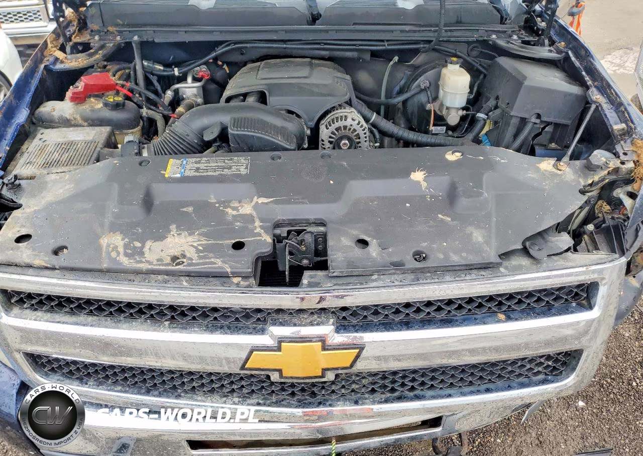 2011 Chevrolet Silverado K1500 VIN:1GCNKPEA8BZ175430 - 11