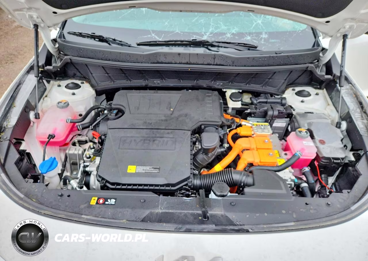 2025 Kia Niro Lx VIN:KNDCP3LE0S5288710 - 12