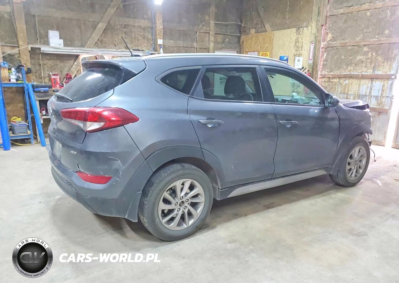2017 Hyundai Tucson Se VIN:KM8J3CA41HU567428 - 3