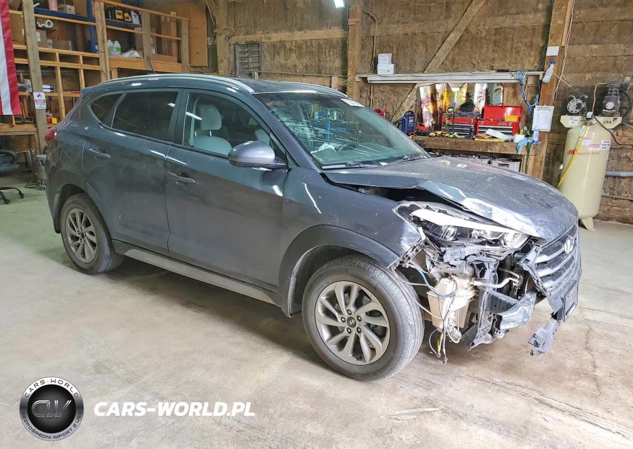 2017 Hyundai Tucson Se VIN:KM8J3CA41HU567428 - 4