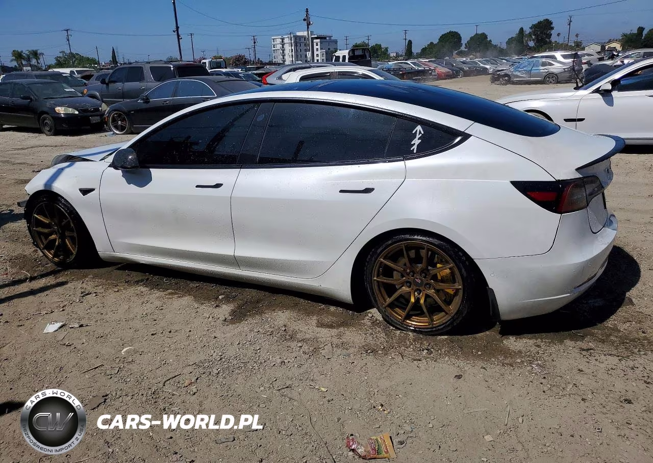2022 Tesla Model 3 VIN:5YJ3E1EA7NF167664 - 2