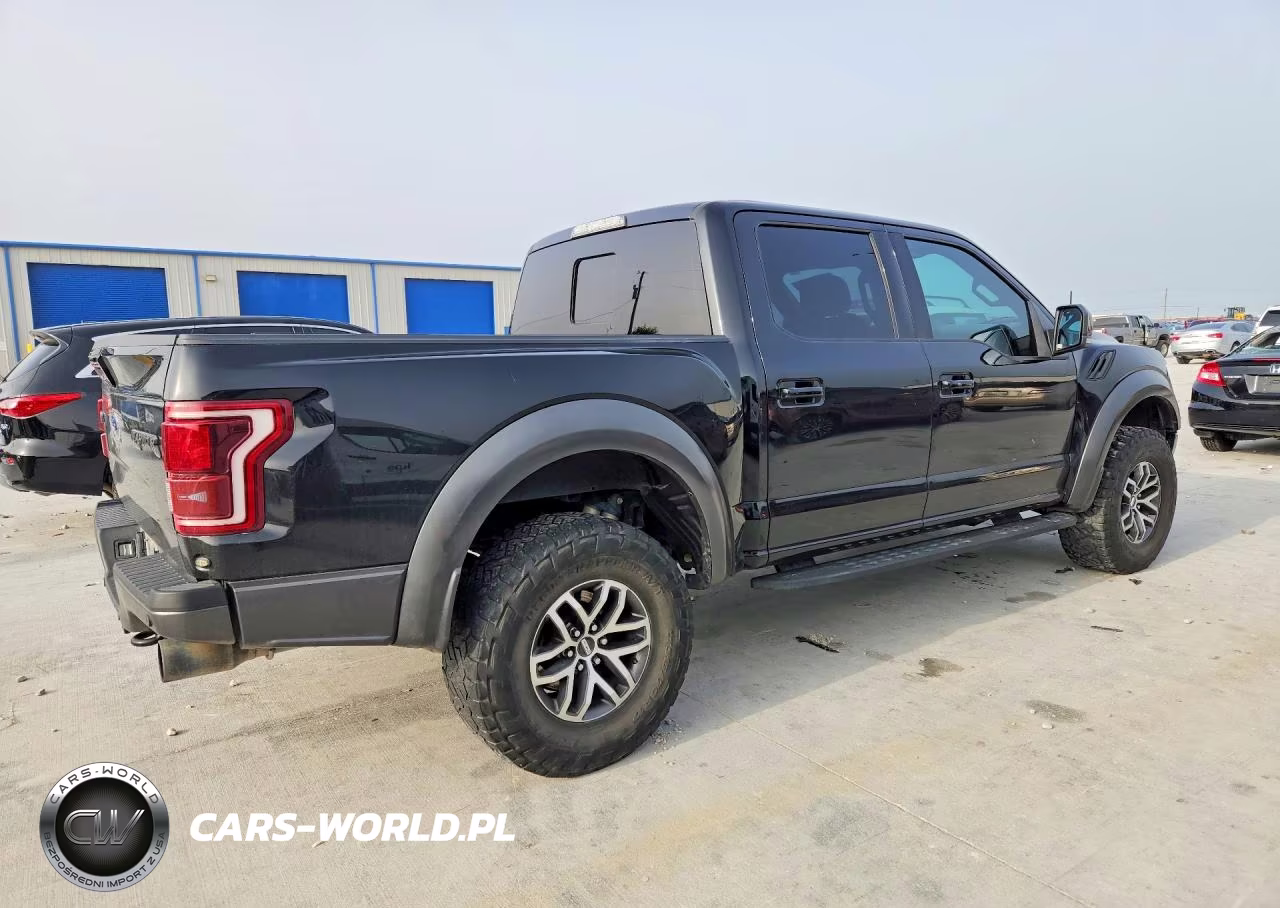 2017 Ford F150 Raptor VIN:1FTFW1RG2HFC88241 - 3