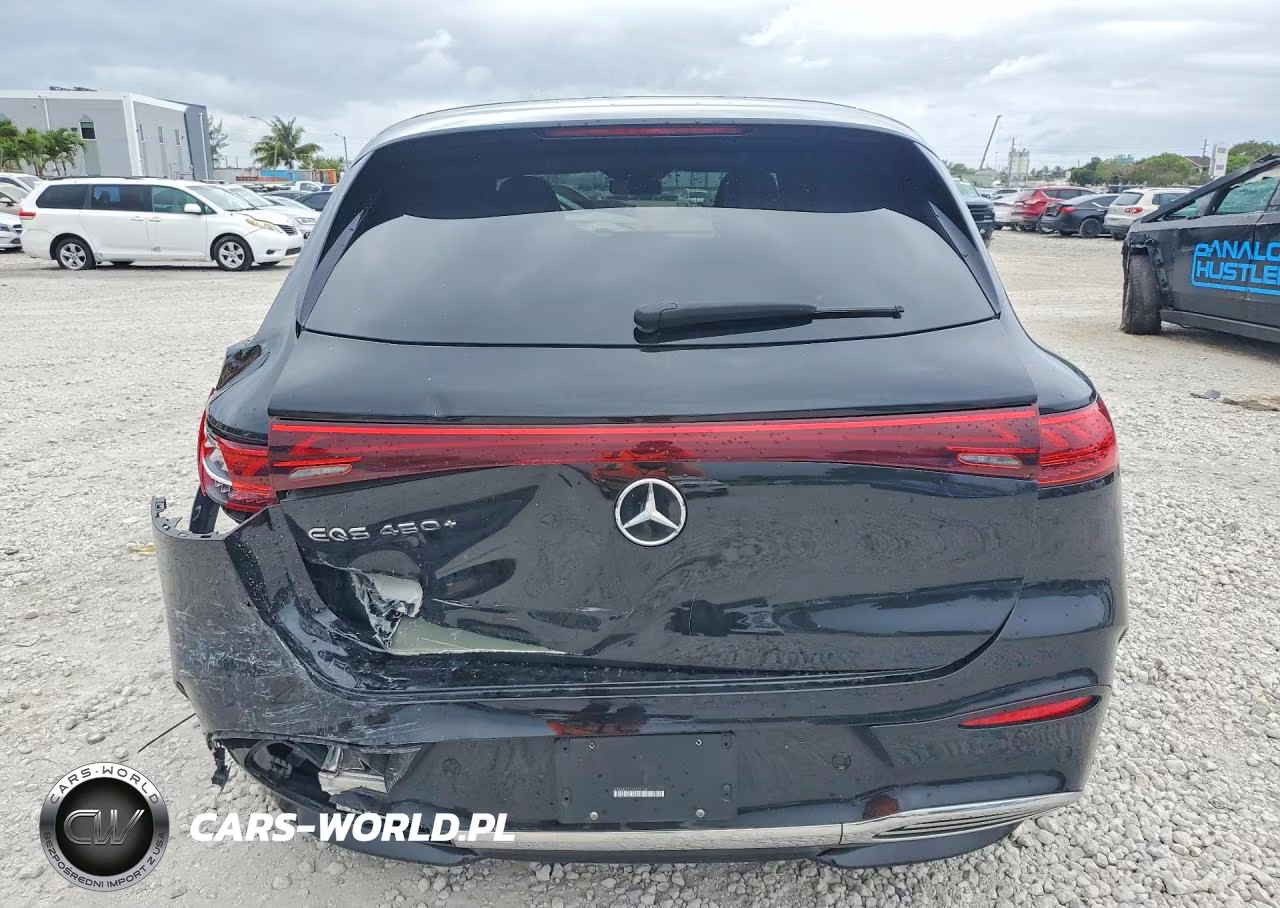 2024 Mercedes-Benz Eqs Suv 450+ VIN:4JGDM2DB0RA032138 - 6