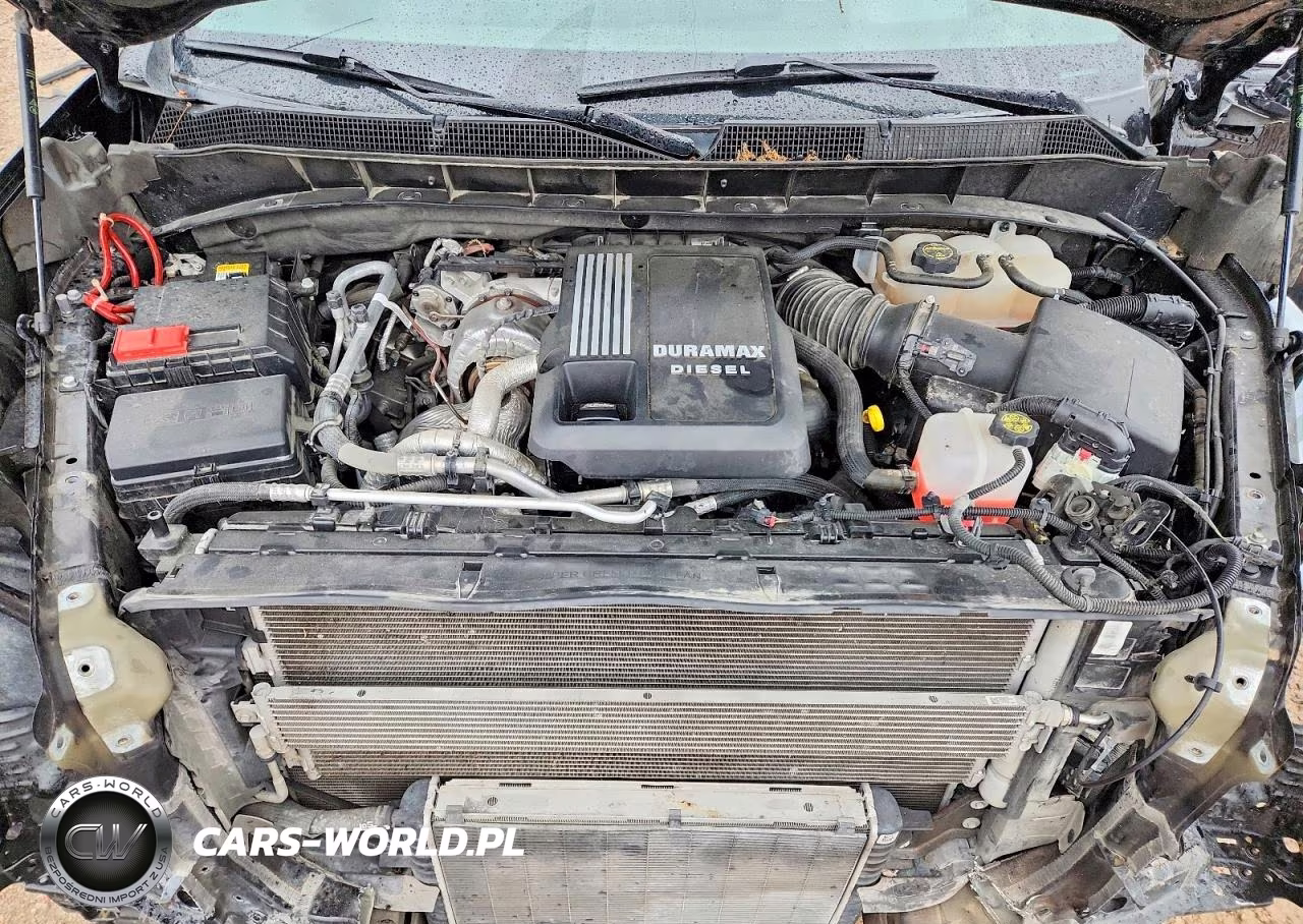 2024 Chevrolet Silverado K1500 VIN:1GCPAEE81RZ184638 - 11