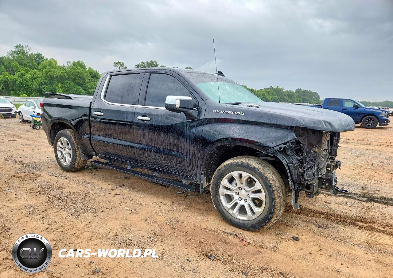 2024 Chevrolet Silverado K1500 VIN:1GCPAEE81RZ184638 - 4
