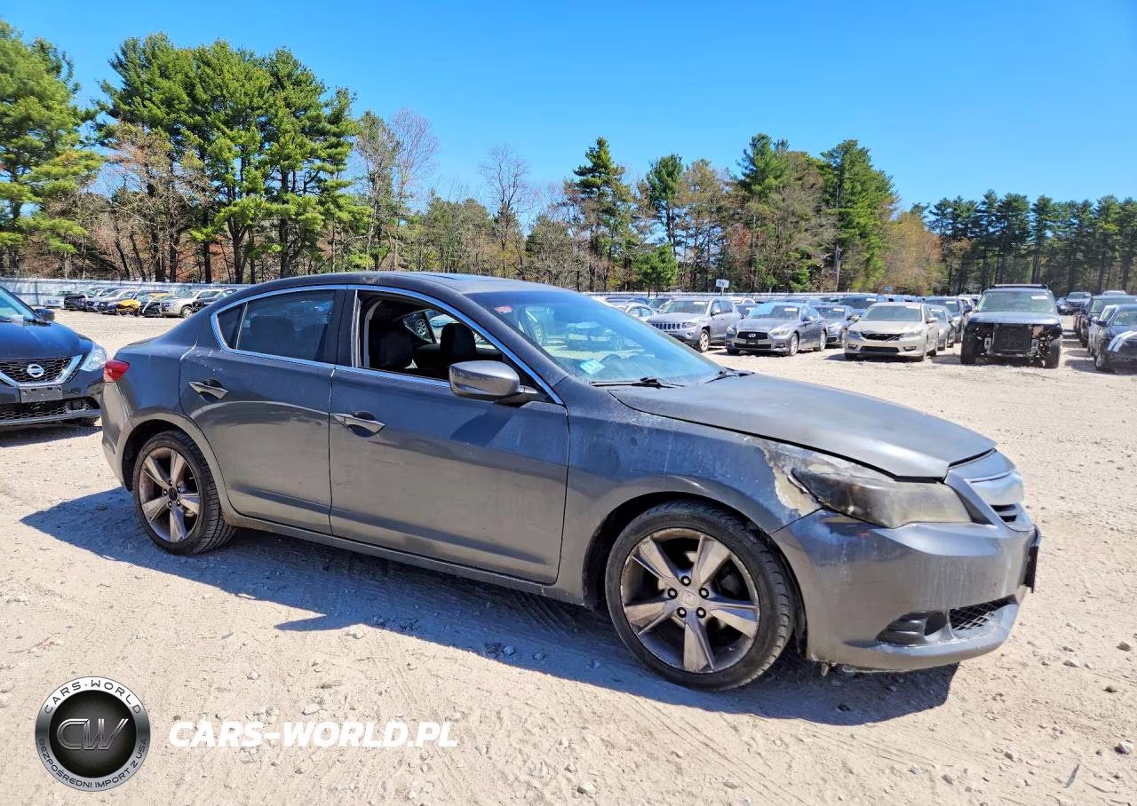 2013 Acura Ilx 20 Premium VIN:19VDE1F51DE008156 - 4