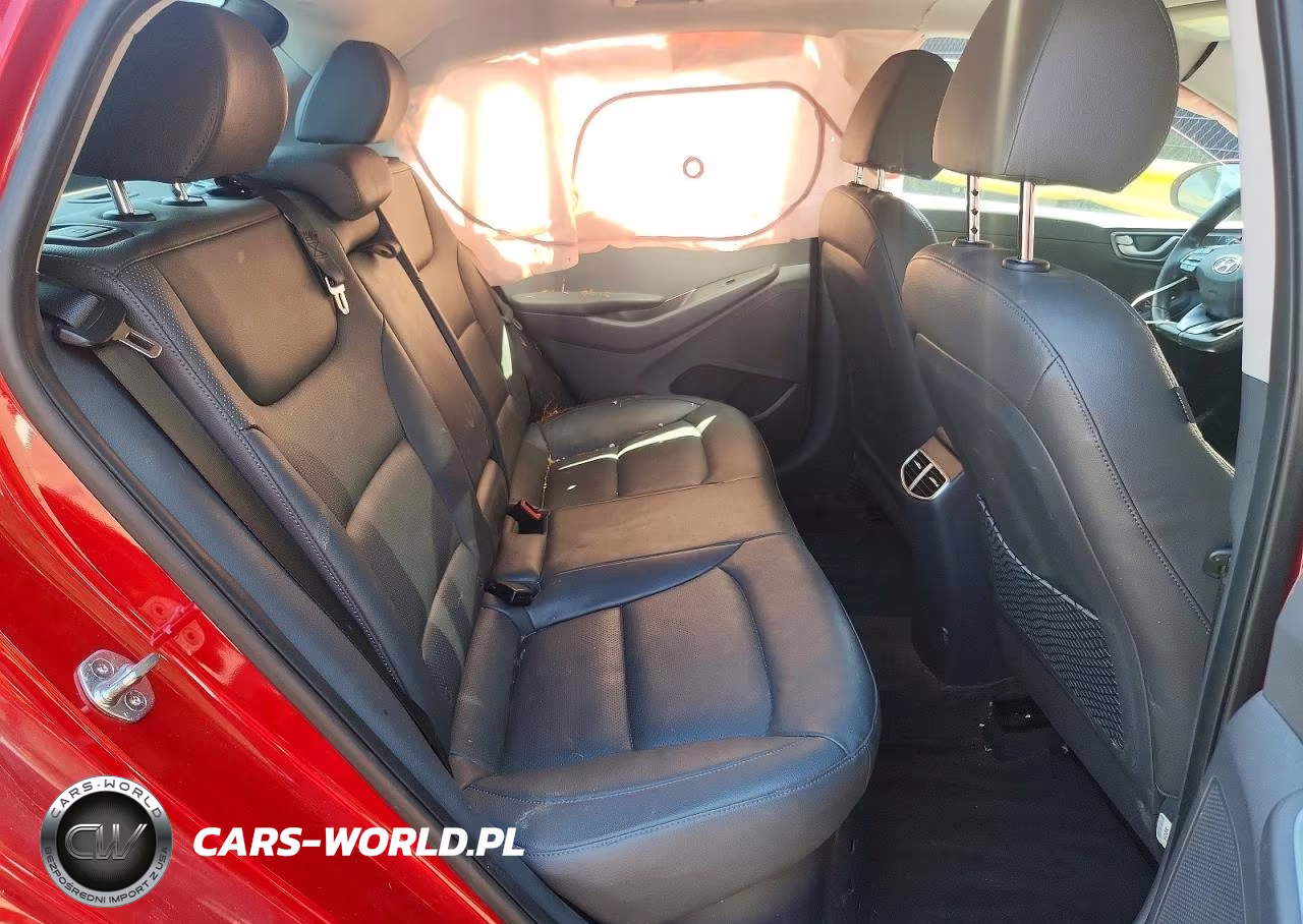 2020 Hyundai Ioniq Limited VIN:KMHC05LCXLU242500 - 10