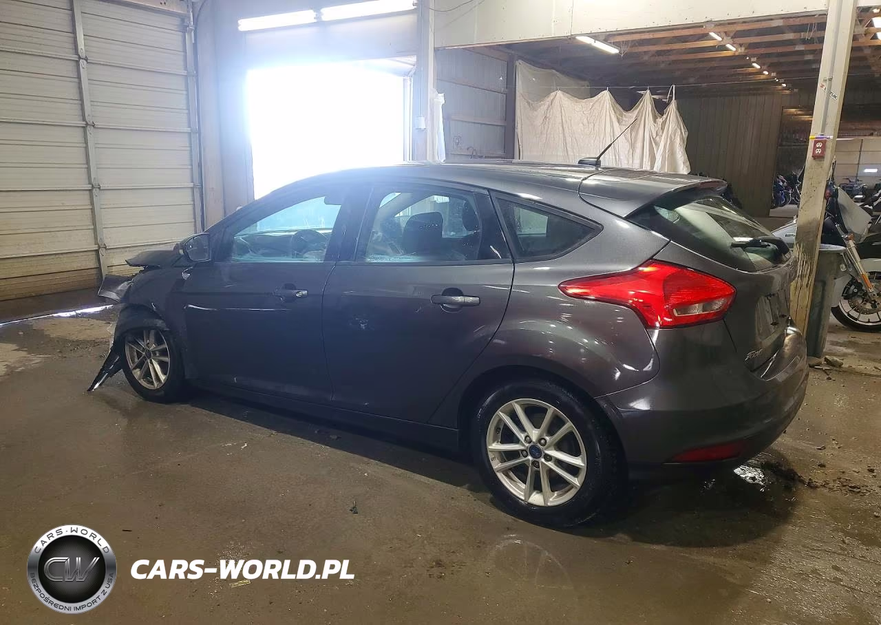 2016 Ford Focus Se VIN:1FADP3K26GL290370 - 2