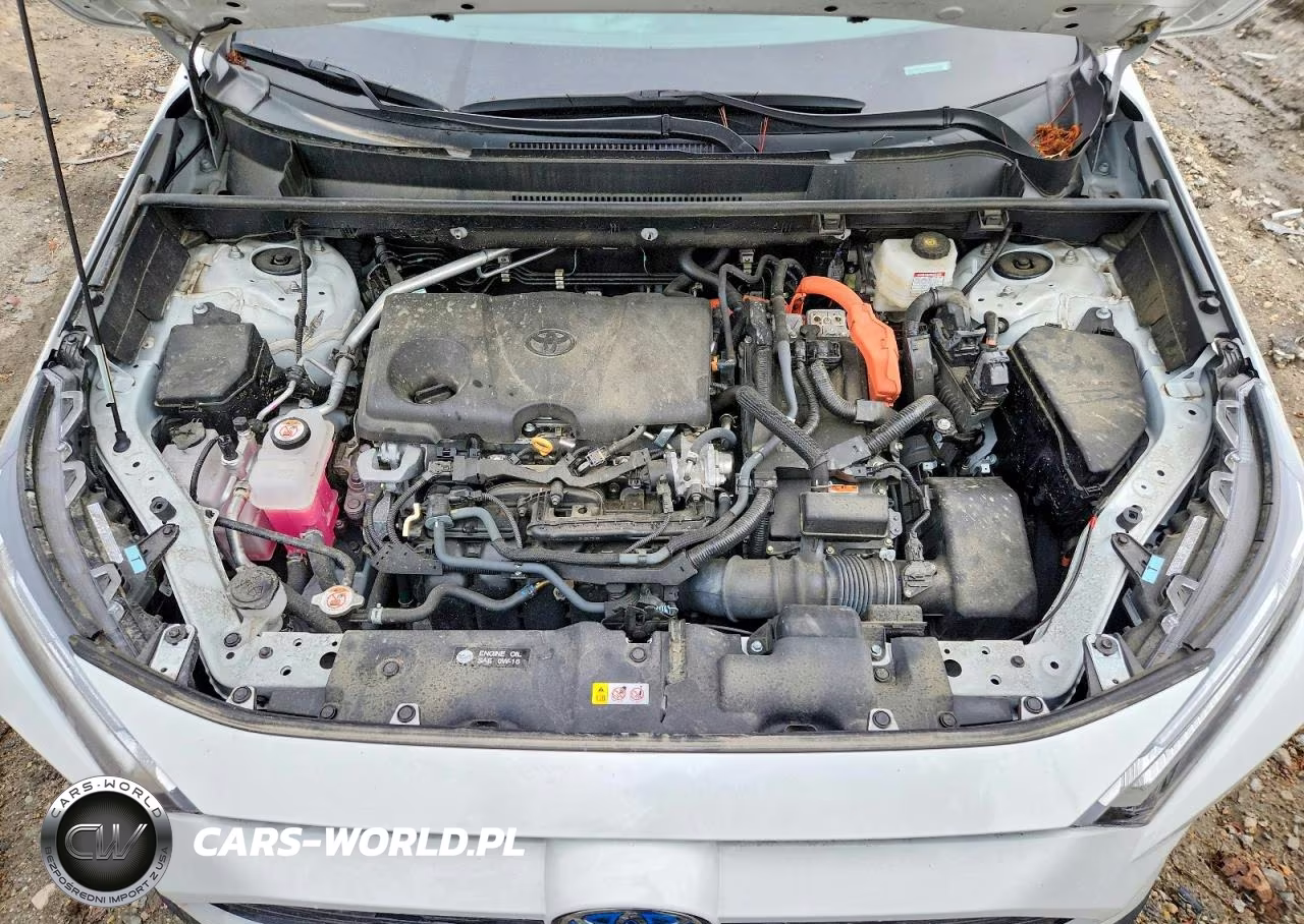 2024 Toyota Rav4 Hybrid Xle VIN:4T3RWRFV9RU125021 - 12