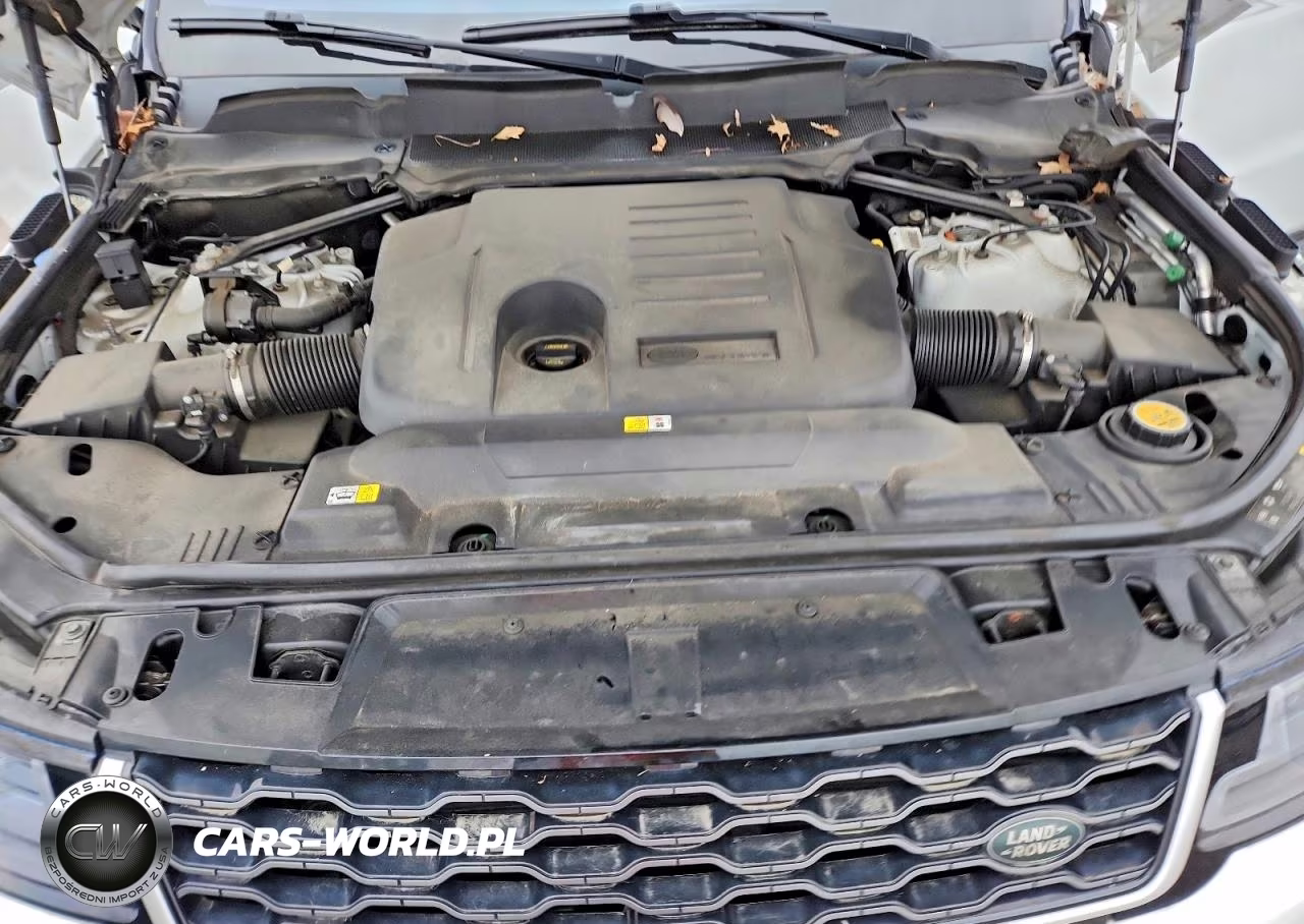 2019 Land Rover Range Rover Sport Hse VIN:SALWR2RU4KA875122 - 12