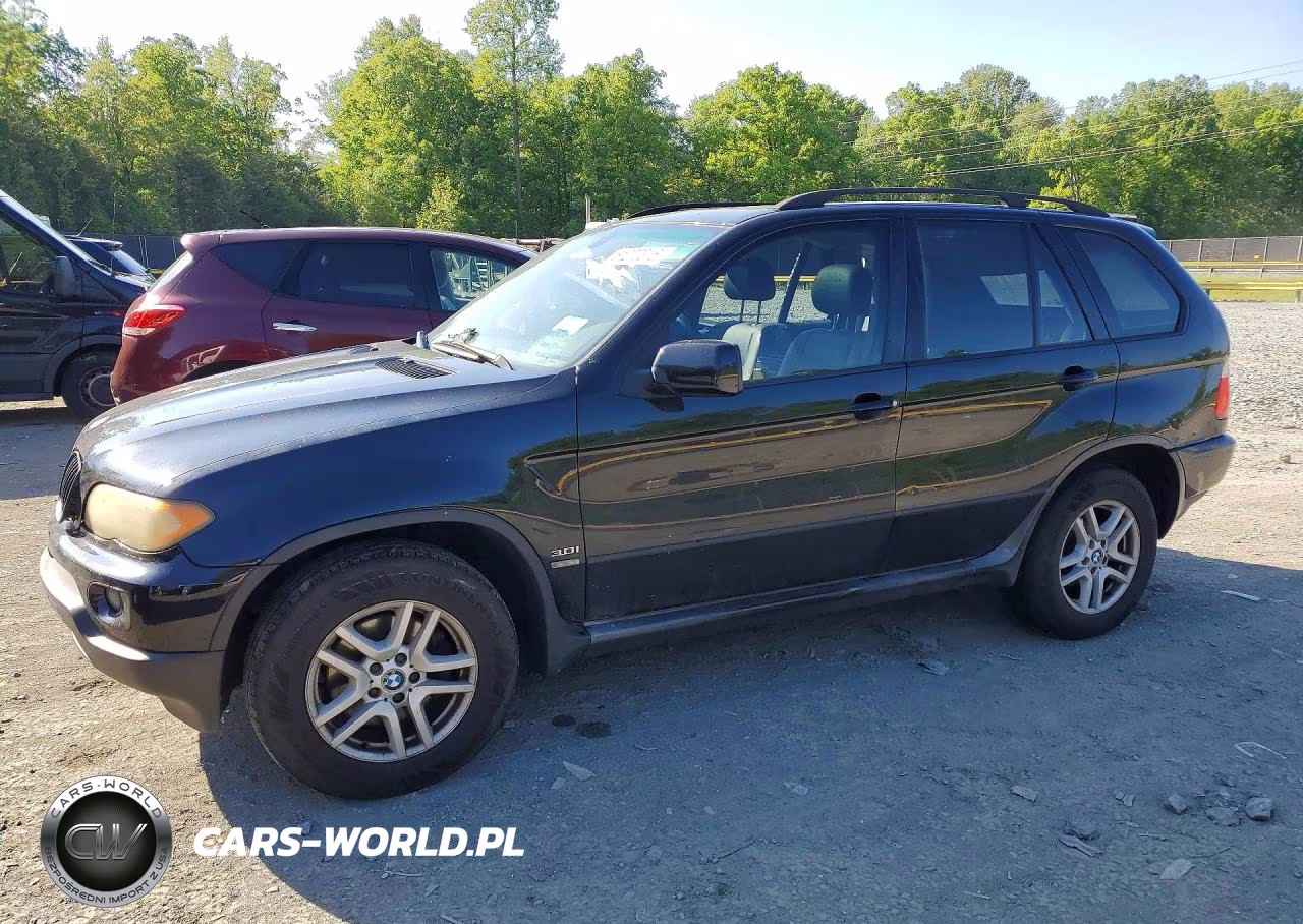 2006 BMW X5 3.0I