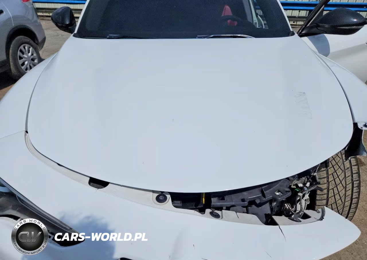 2020 Alfa Romeo Stelvio VIN:ZASPAJANXL7C95431 - 12