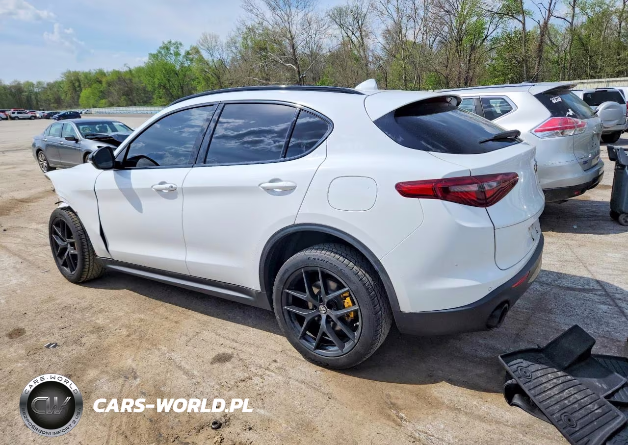 2020 Alfa Romeo Stelvio VIN:ZASPAJANXL7C95431 - 2