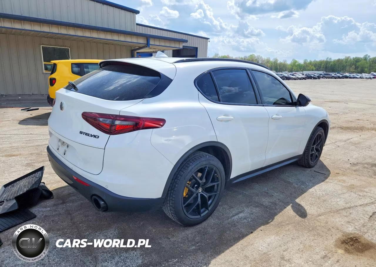 2020 Alfa Romeo Stelvio VIN:ZASPAJANXL7C95431 - 3