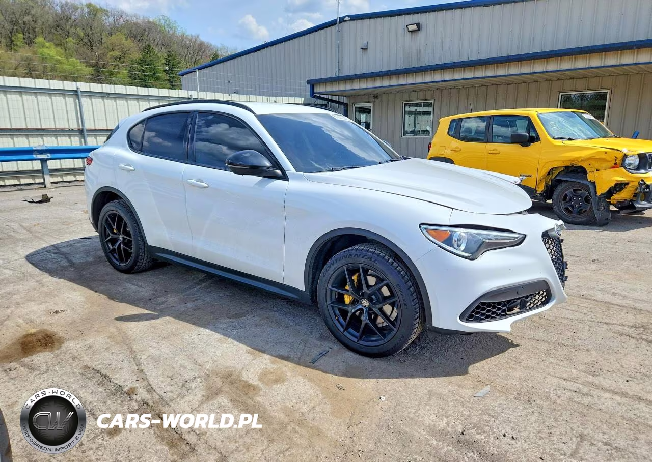 2020 Alfa Romeo Stelvio VIN:ZASPAJANXL7C95431 - 4