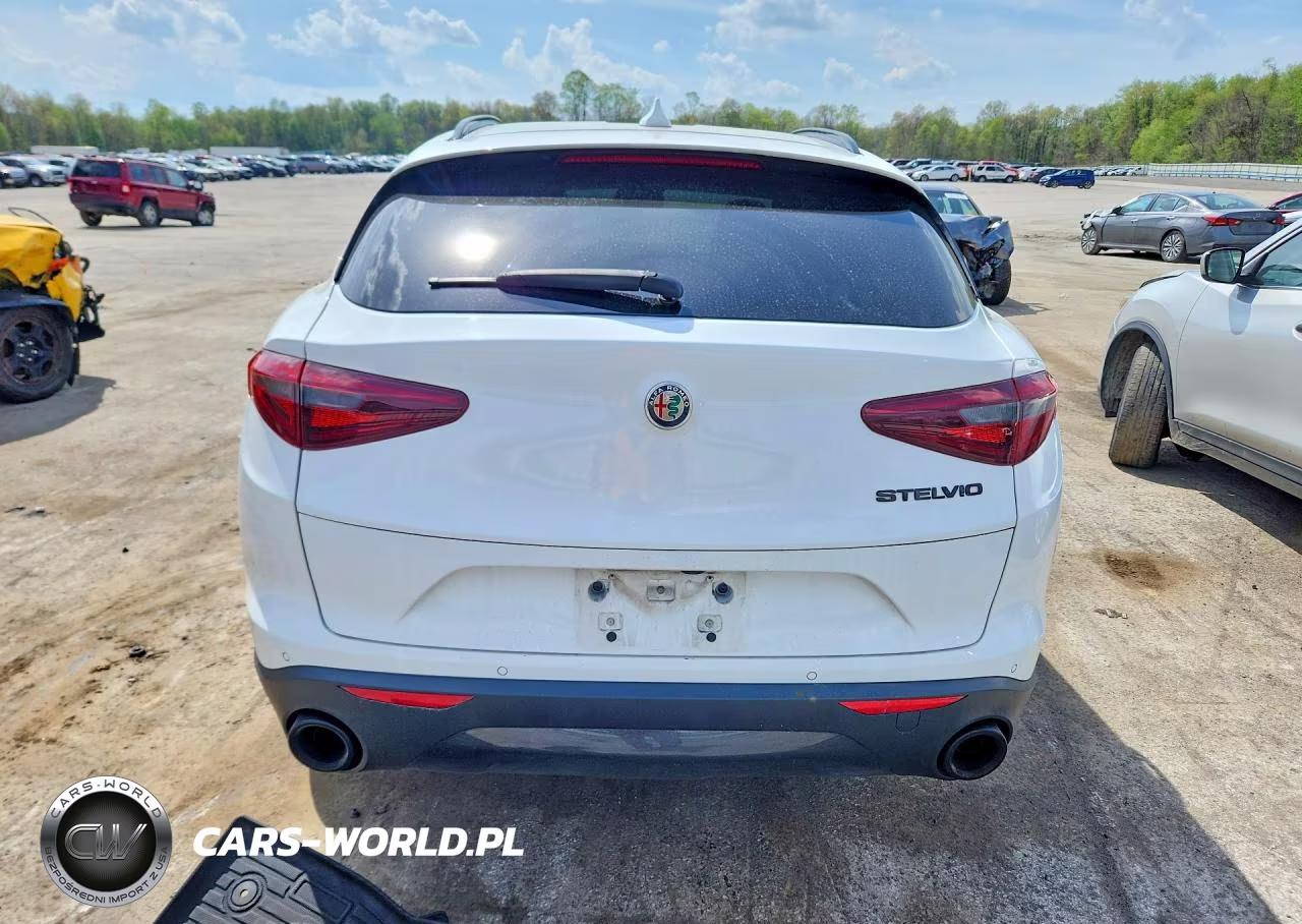 2020 Alfa Romeo Stelvio VIN:ZASPAJANXL7C95431 - 6