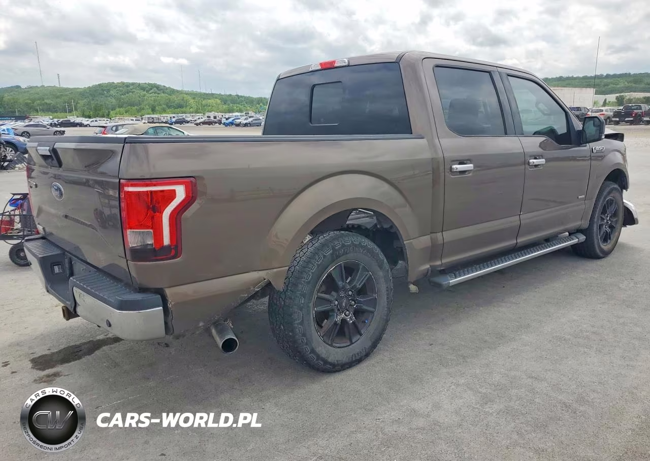 2015 Ford F150 Supercrew VIN:1FTEW1CP5FKF02048 - 3