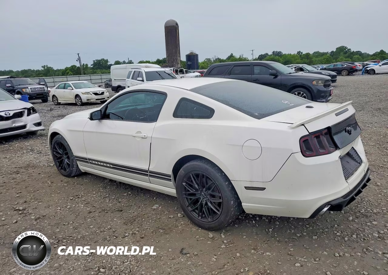 2013 Ford Mustang VIN:1ZVBP8AM6D5224819 - 2