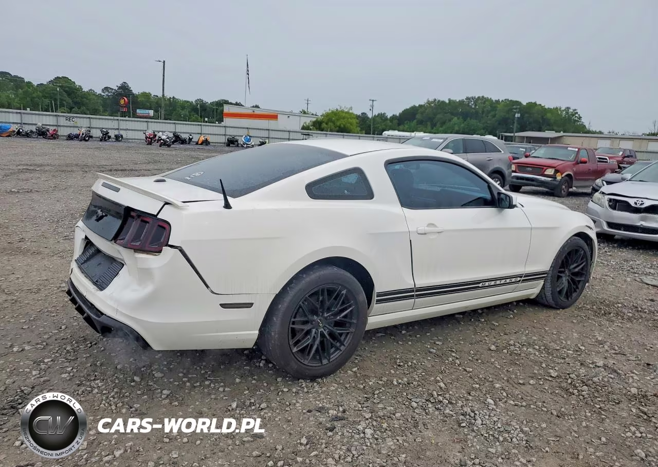 2013 Ford Mustang VIN:1ZVBP8AM6D5224819 - 3