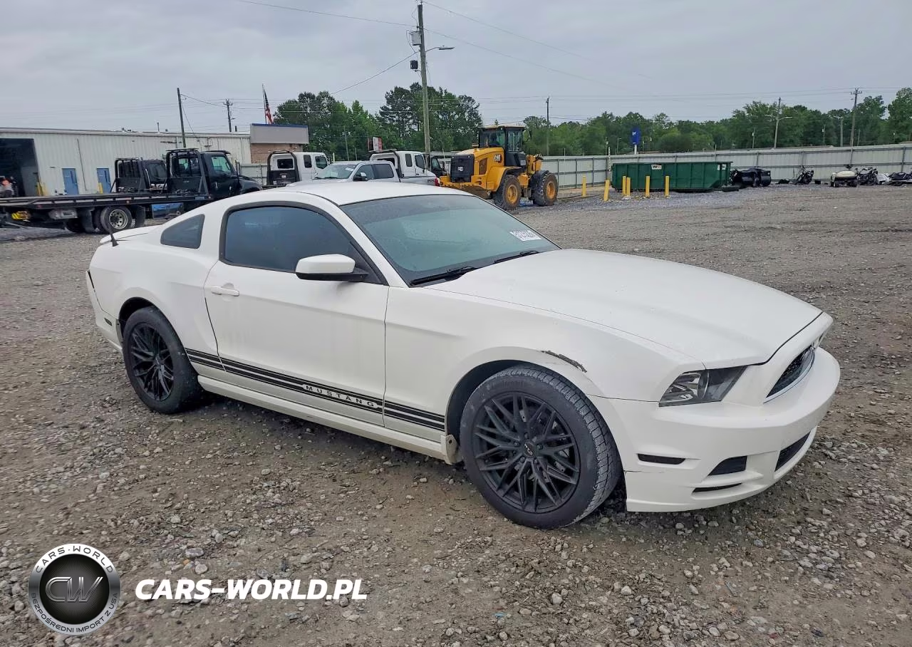 2013 Ford Mustang VIN:1ZVBP8AM6D5224819 - 4