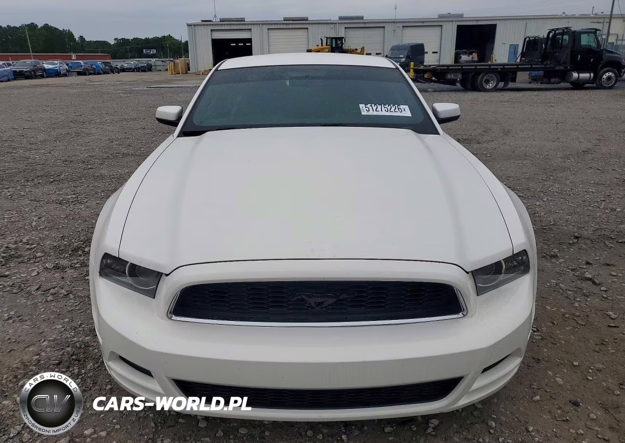 2013 Ford Mustang VIN:1ZVBP8AM6D5224819 - 5
