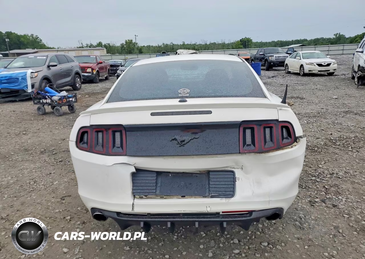 2013 Ford Mustang VIN:1ZVBP8AM6D5224819 - 6