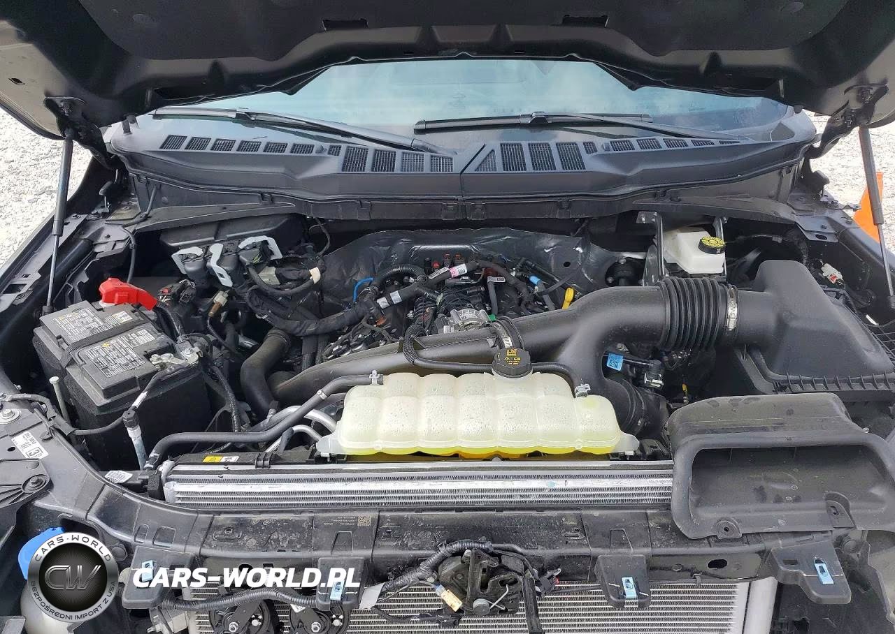 2025 Ford F150 Xlt VIN:1FTEW3KP4SFC10794 - 11