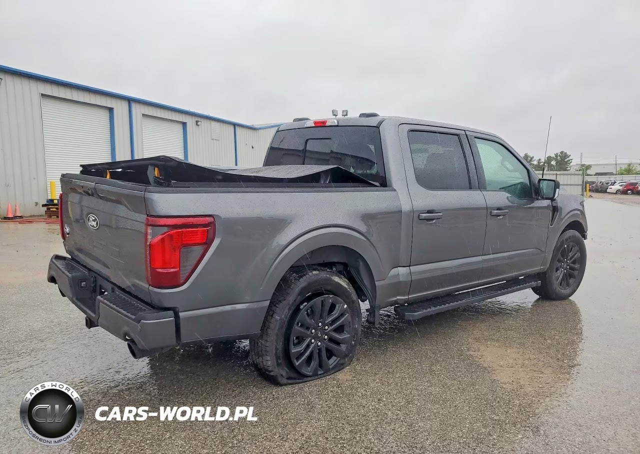 2025 Ford F150 Xlt VIN:1FTEW3KP4SFC10794 - 3