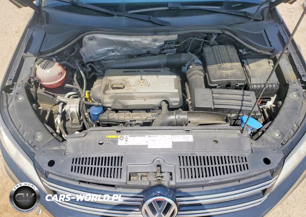 2017 Volkswagen Tiguan S VIN:WVGAV7AX0HK001591 - 12
