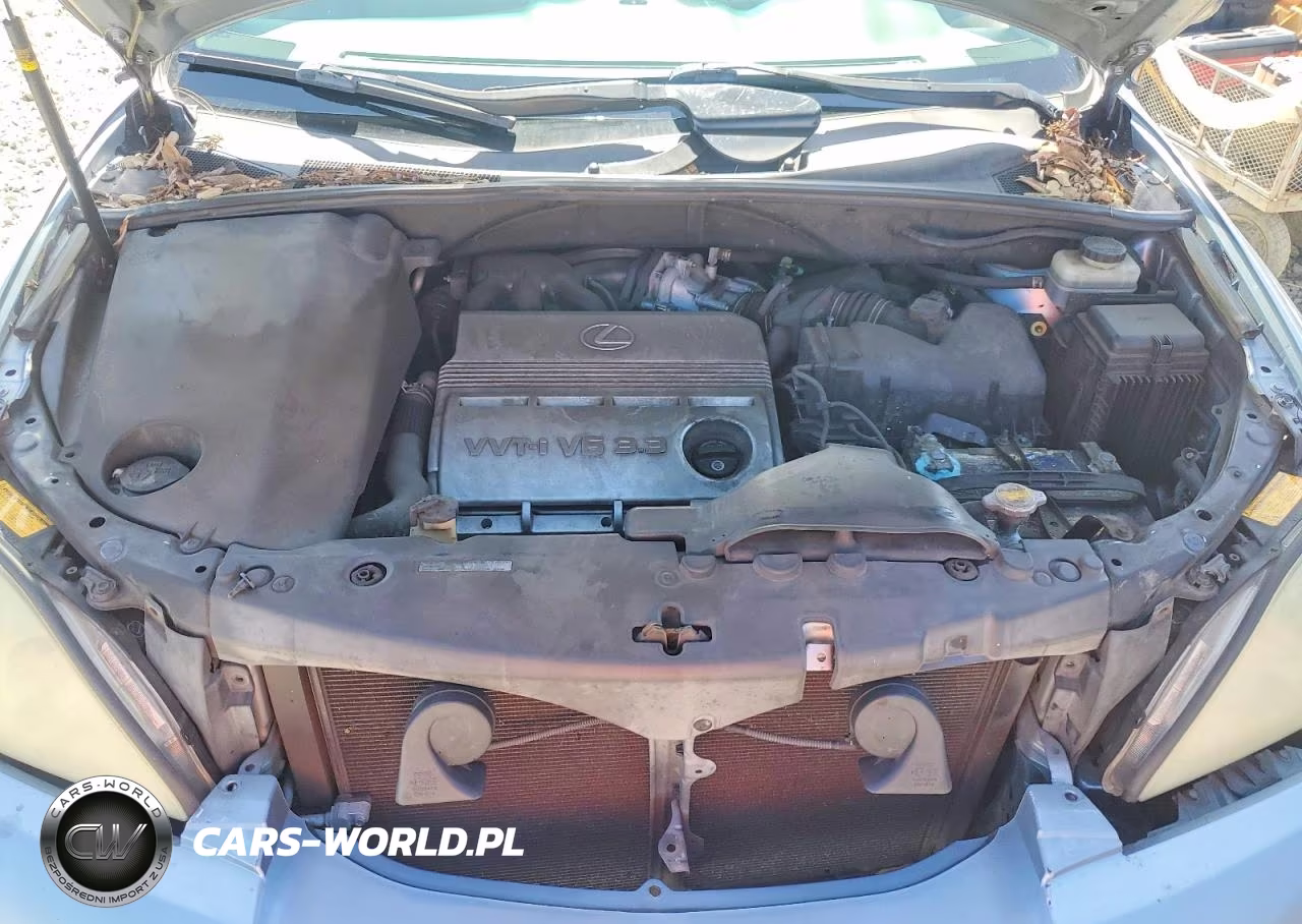 2004 Lexus Rx 330 VIN:JTJHA31U640040900 - 12