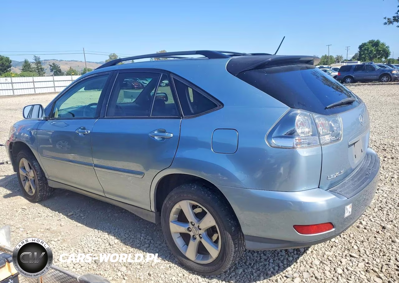 2004 Lexus Rx 330 VIN:JTJHA31U640040900 - 2