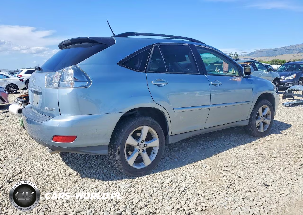 2004 Lexus Rx 330 VIN:JTJHA31U640040900 - 3