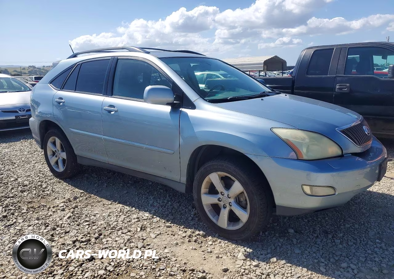 2004 Lexus Rx 330 VIN:JTJHA31U640040900 - 4
