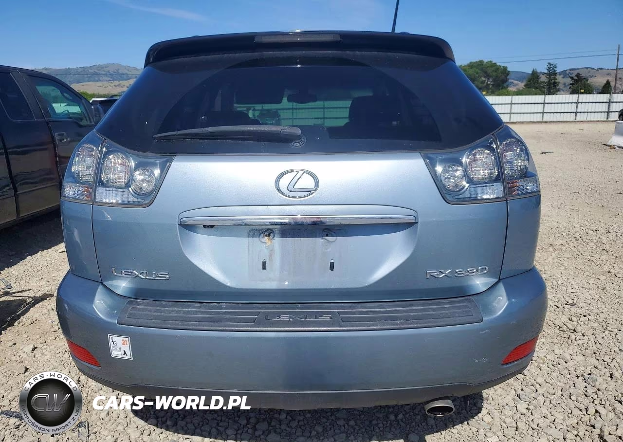 2004 Lexus Rx 330 VIN:JTJHA31U640040900 - 6