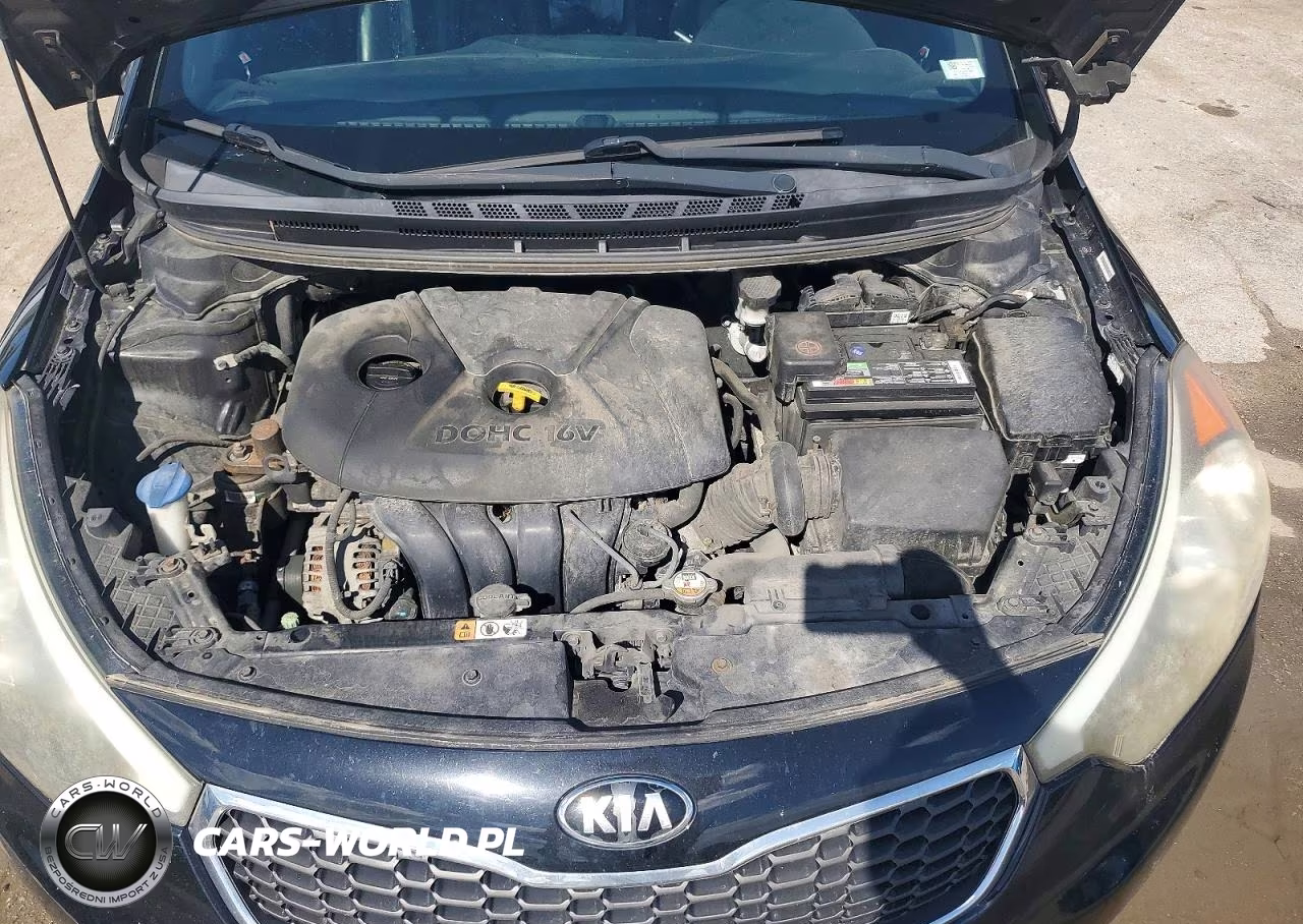 2015 Kia Forte Lx VIN:KNAFX4A67F5353649 - 11