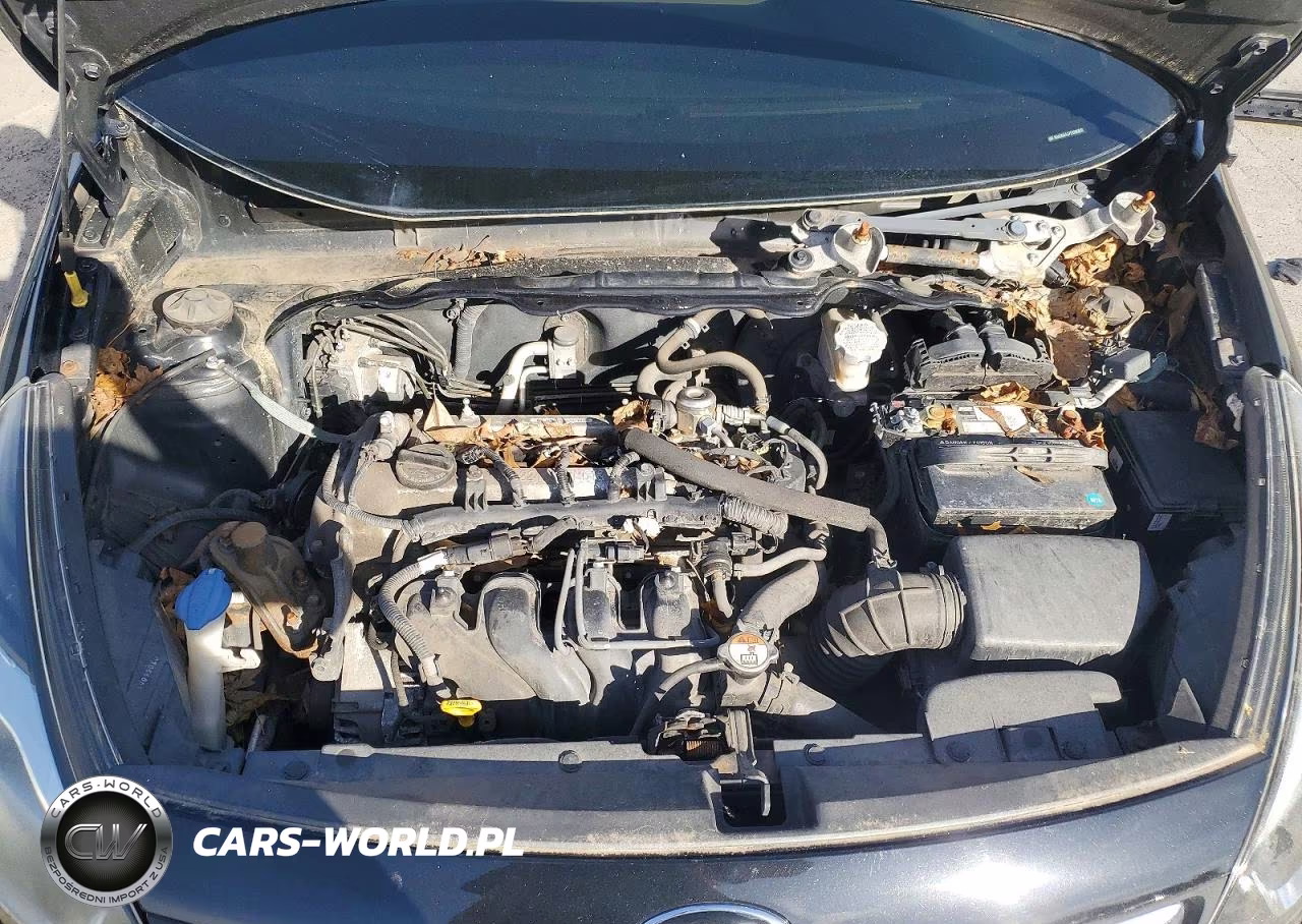 2014 Kia Rio Lx VIN:KNADM4A37E6386651 - 11