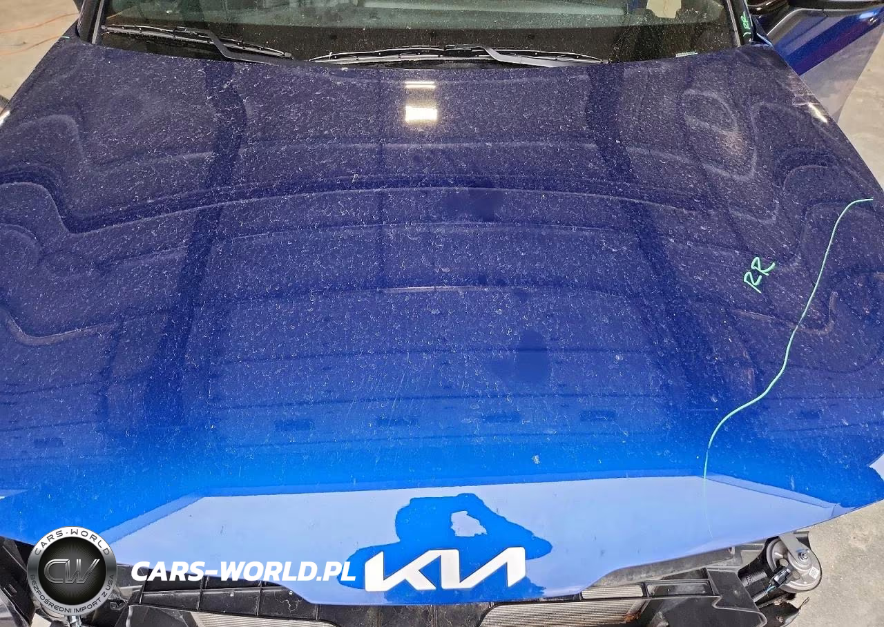2024 Kia Sportage X Line VIN:5XYK6CDF4RG232910 - 12
