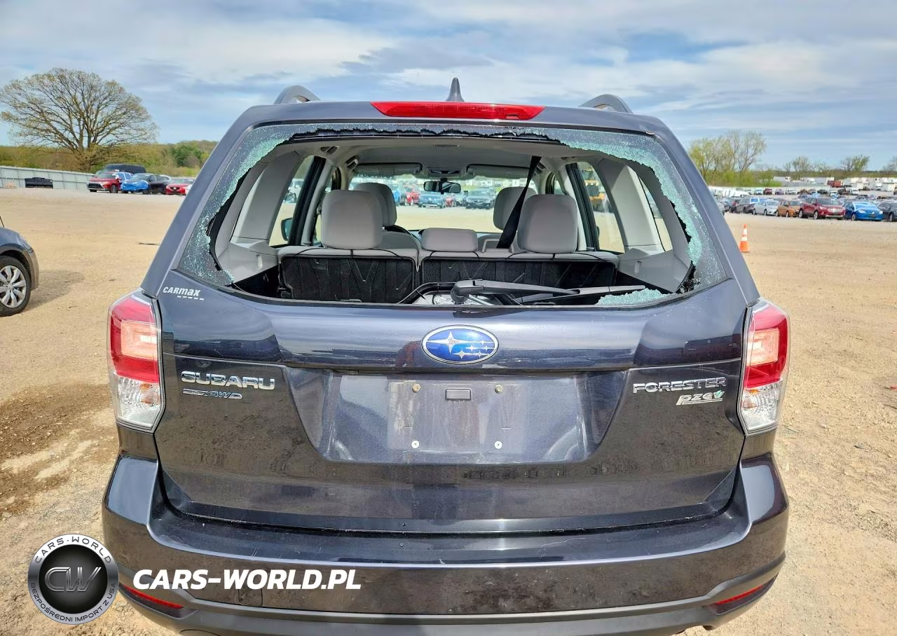 2017 Subaru Forester 2.5I VIN:JF2SJABC5HH554796 - 6