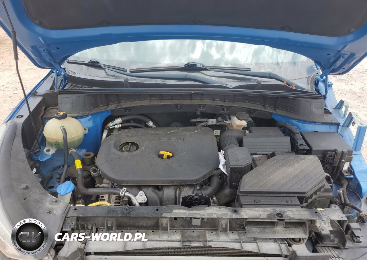 2019 Hyundai Tucson Se VIN:KM8J2CA42KU942687 - 12
