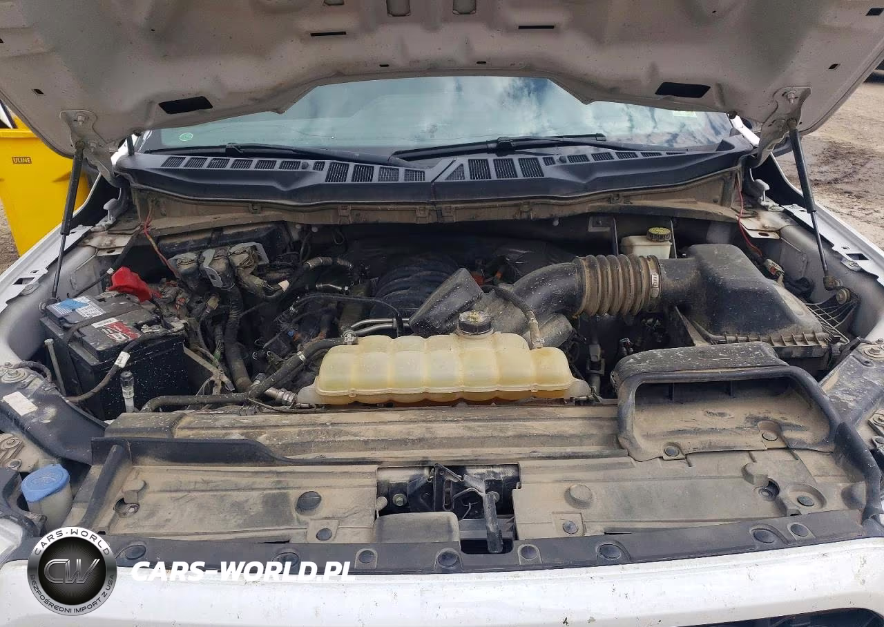 2022 Ford F150 Supercrew VIN:1FTFW1E52NFA61289 - 11