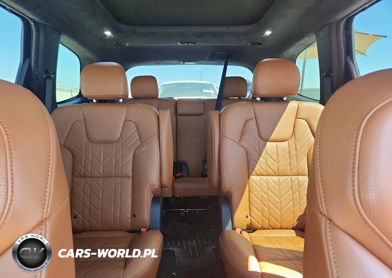 2025 Kia Telluride Sx-Prestige X-Line VIN:5XYP5DGC1SG653053 - 10