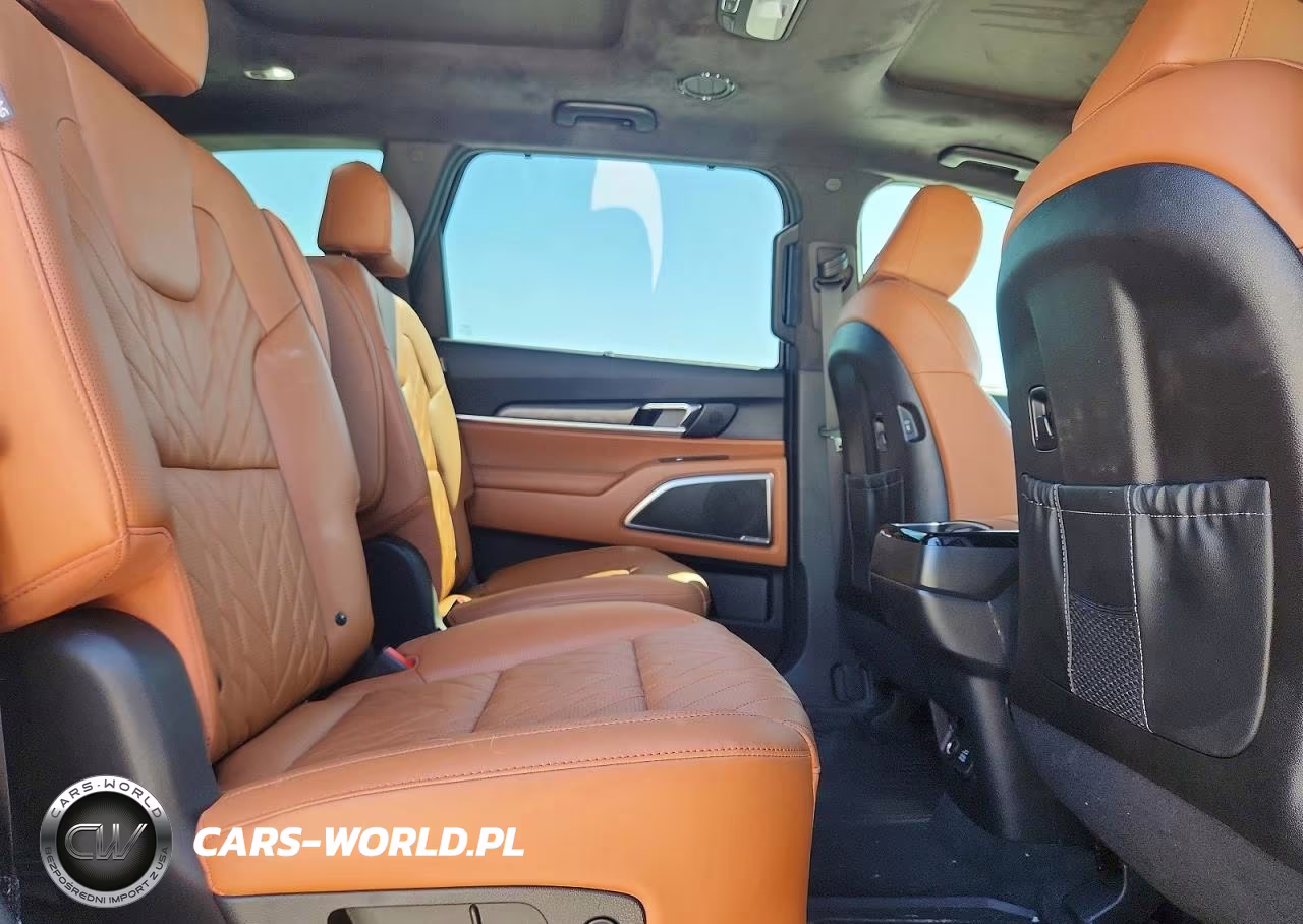 2025 Kia Telluride Sx-Prestige X-Line VIN:5XYP5DGC1SG653053 - 11
