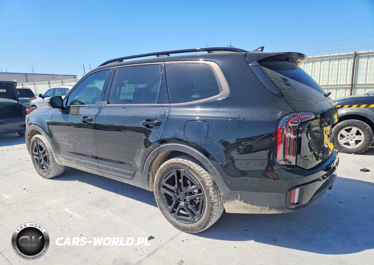 2025 Kia Telluride Sx-Prestige X-Line VIN:5XYP5DGC1SG653053 - 2