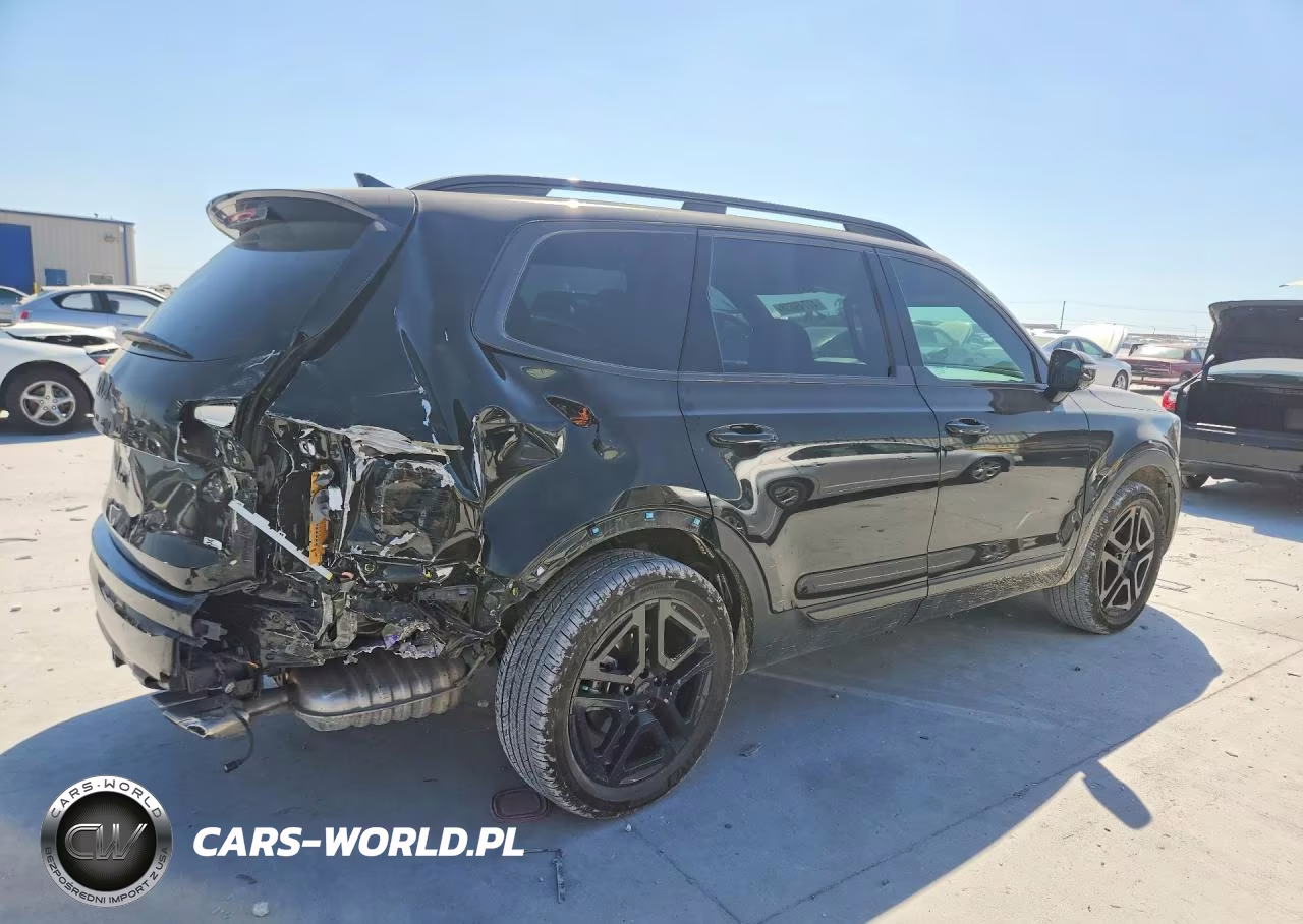 2025 Kia Telluride Sx-Prestige X-Line VIN:5XYP5DGC1SG653053 - 3