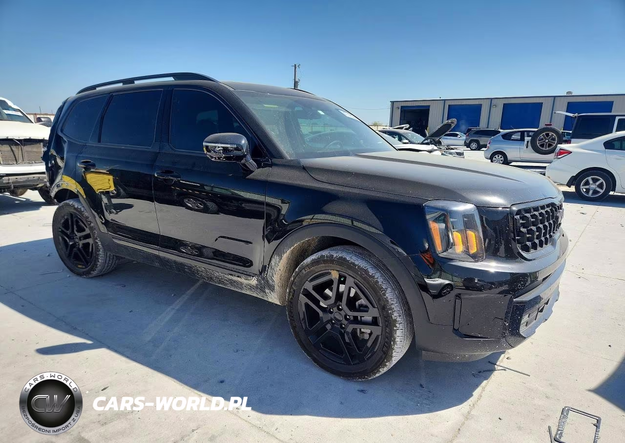 2025 Kia Telluride Sx-Prestige X-Line VIN:5XYP5DGC1SG653053 - 4
