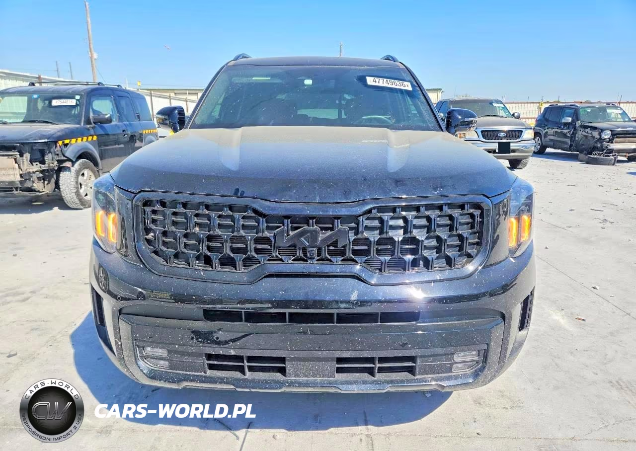 2025 Kia Telluride Sx-Prestige X-Line VIN:5XYP5DGC1SG653053 - 5