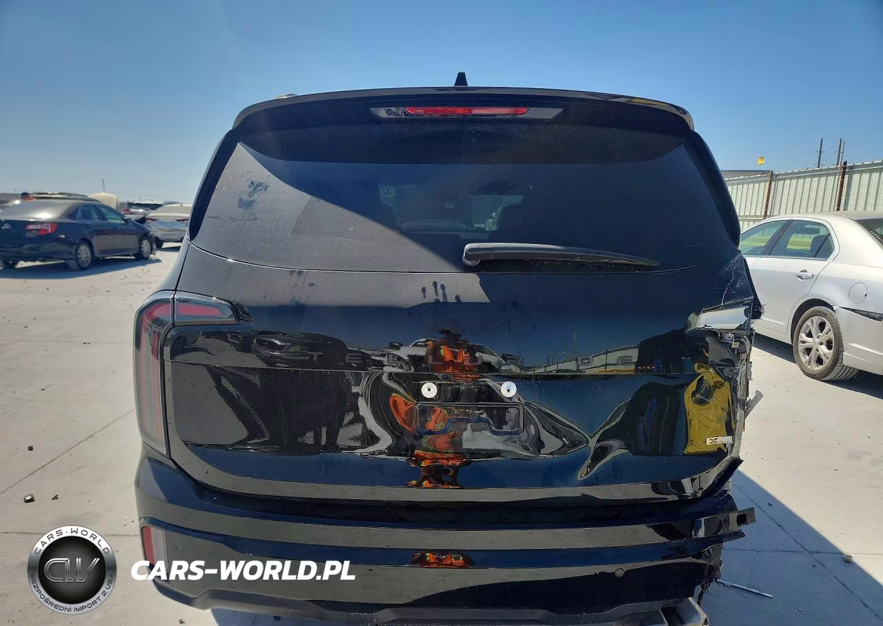 2025 Kia Telluride Sx-Prestige X-Line VIN:5XYP5DGC1SG653053 - 6