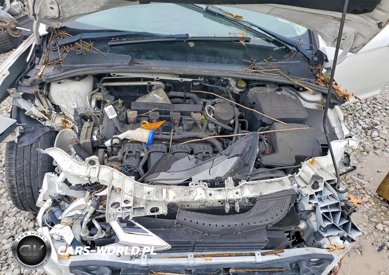 2013 Ford Focus Se VIN:1FADP3K29DL131127 - 11