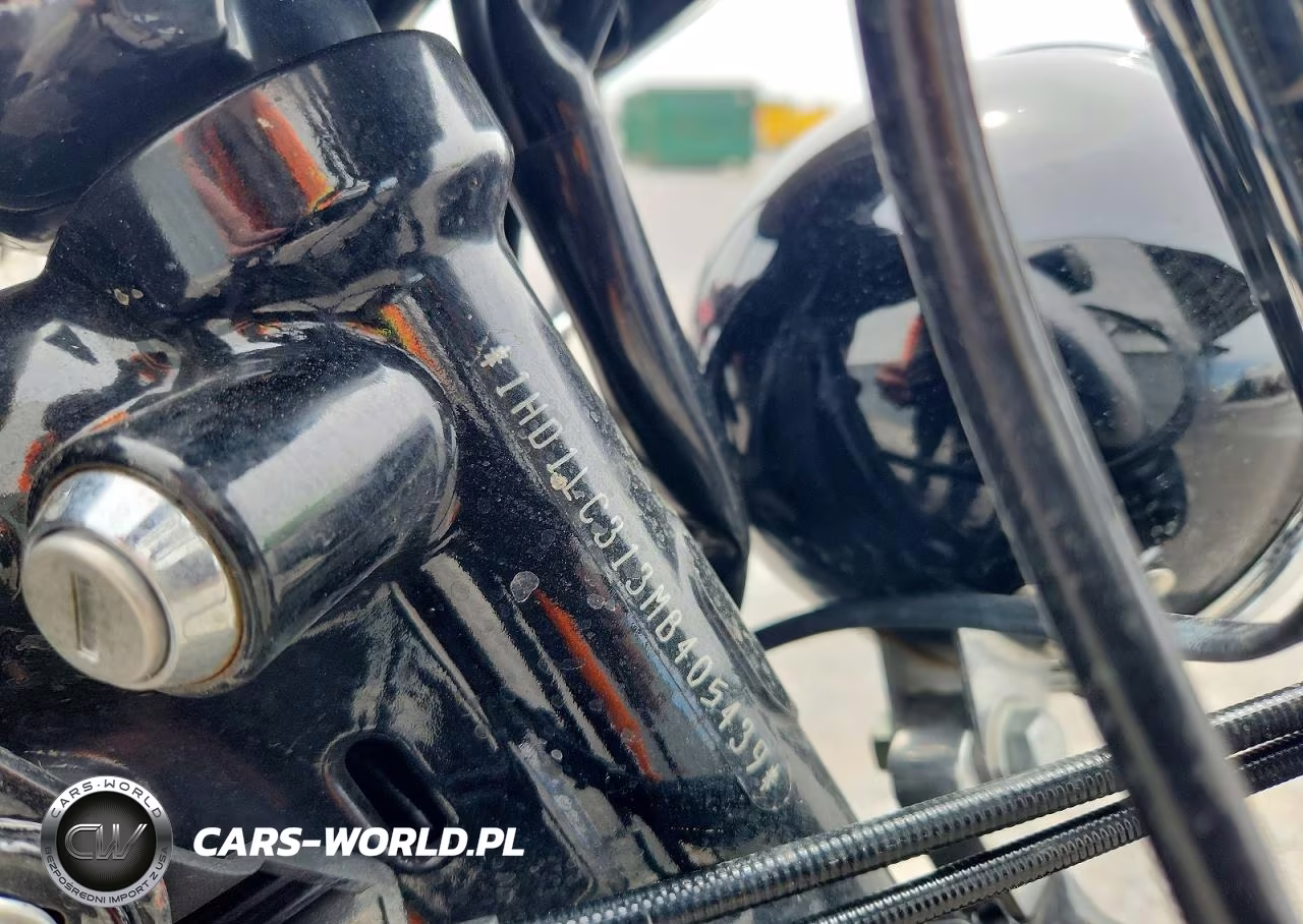 2021 Harley Davidson Xl 1200V VIN:1HD1LC313MB405439 - 8