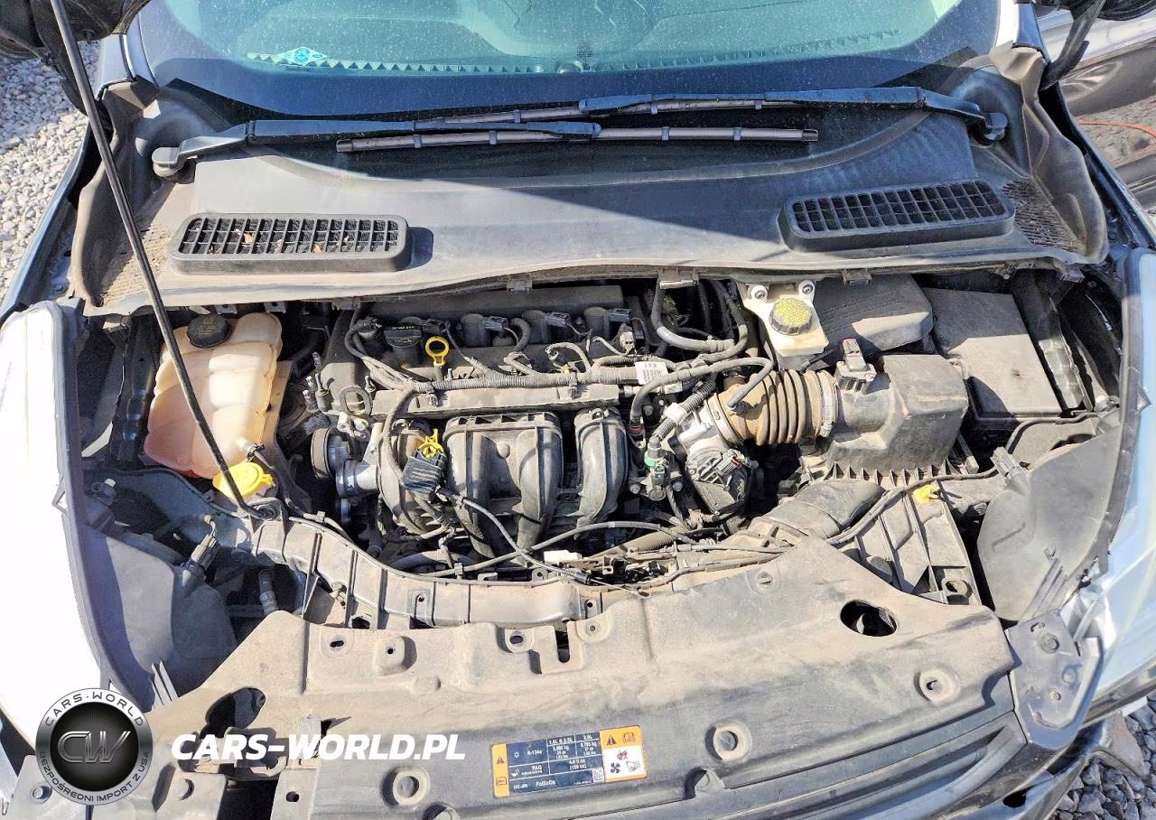 2015 Ford Escape S VIN:1FMCU0F73FUB79010 - 12